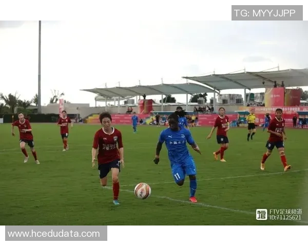 武汉排球队强势领跑精英赛积分榜积分达71分展现实力